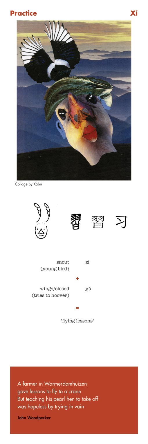Chinese character Practice - Xi