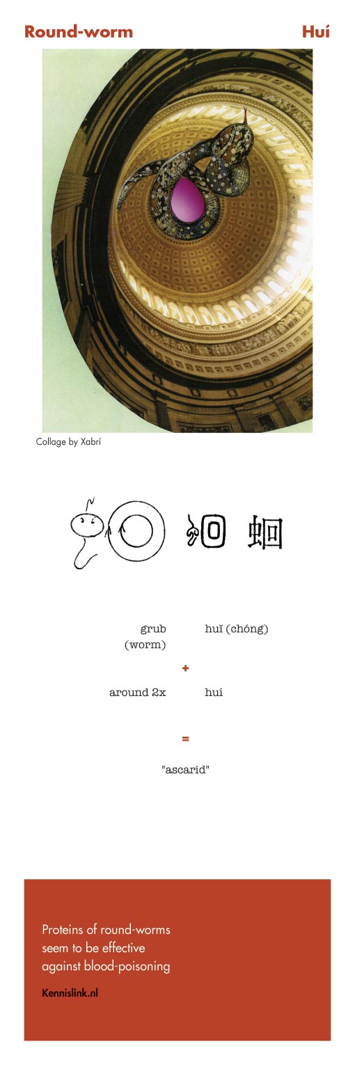 Chinese character Rond-worm 